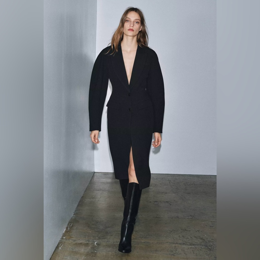 Zara ZW Collection Fitted Coat